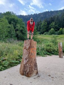 Sébastien Steffen debout en équilibre sur une grande souche de bois brut, en train de commencer ou de finaliser une sculpture de grande taille à la tronçonneuse. Arrière-plan montagneux ensoleillé.