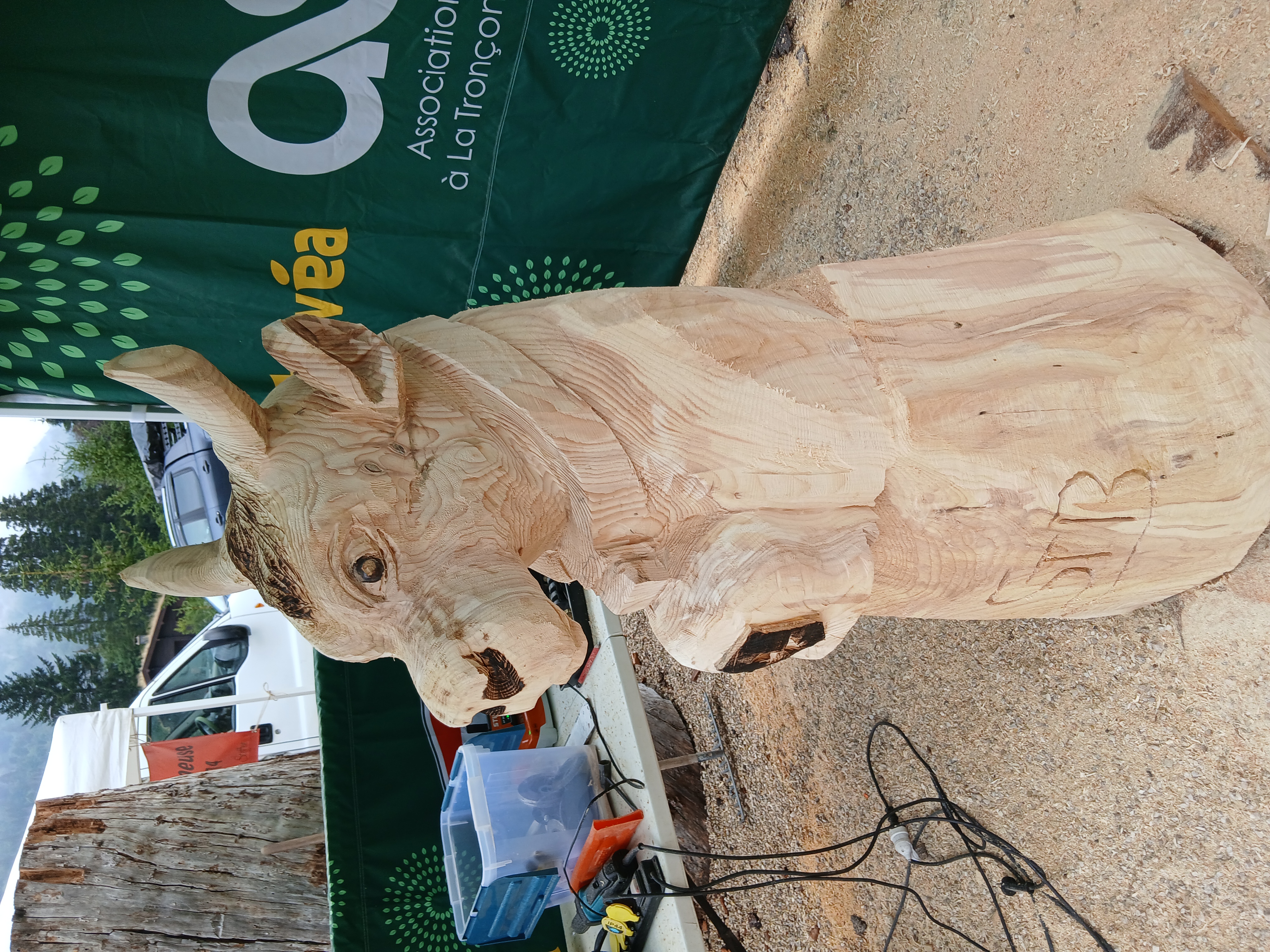 Sculpture sur bois d'un bovidé (vache ou taureau) réalisée à la tronçonneuse par Sébastien Steffen. Vue de trois quarts avant sur son socle d'origine.