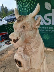 Gros plan sur la tête de la sculpture de bovidé de Sébastien Steffen, mettant en évidence le travail de détail réalisé à la tronçonneuse.