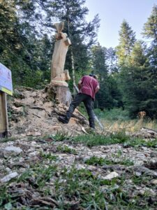 Évolution de la grande sculpture sur bois installée sur son site naturel.