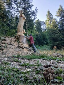 L'artiste en plein travail de sculpture à la tronçonneuse sur le Plateau d'Hauteville.