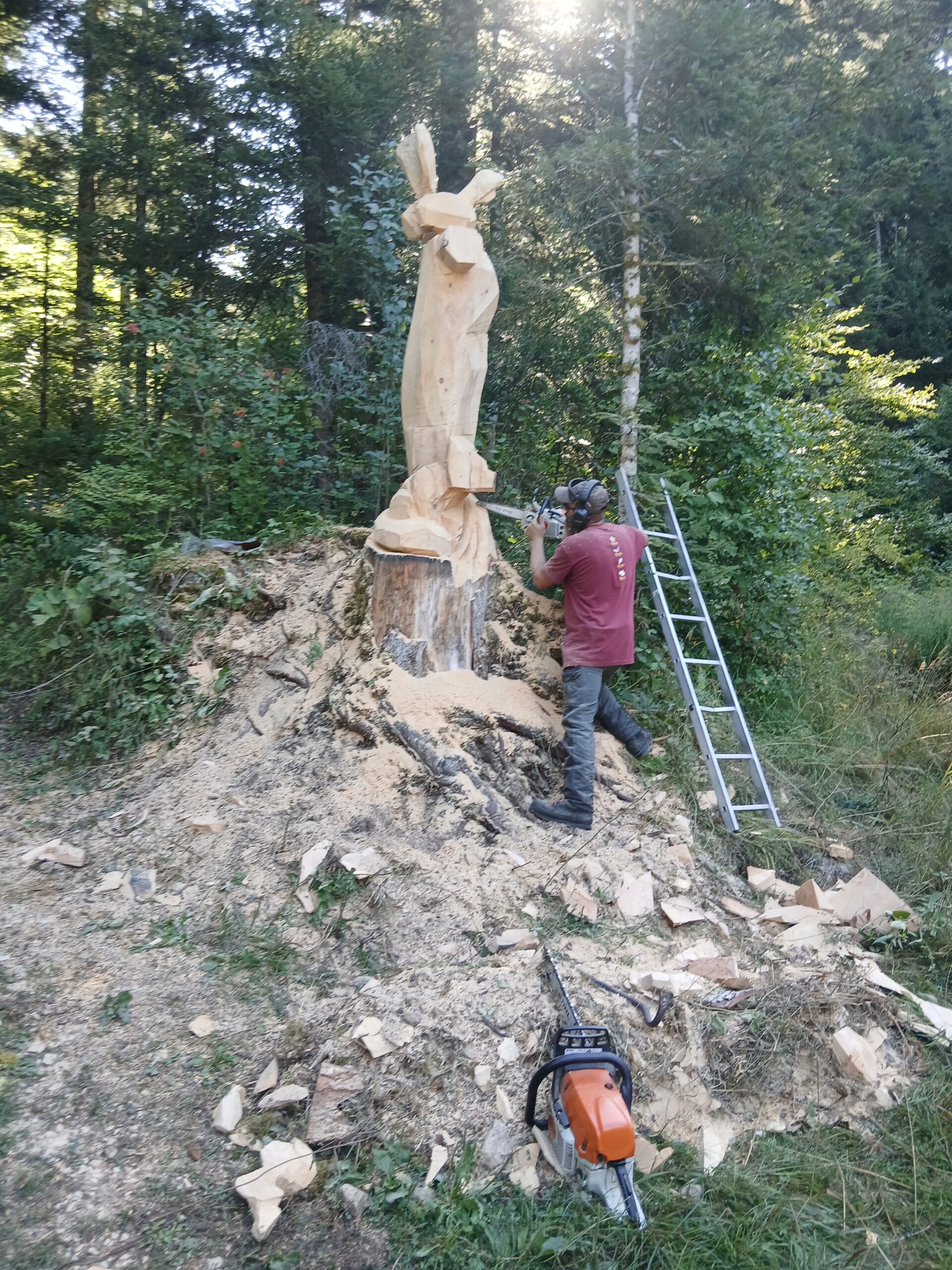 Vue d'ensemble de la création d'une sculpture géante en bois en pleine nature. Par Sébastien Steffen