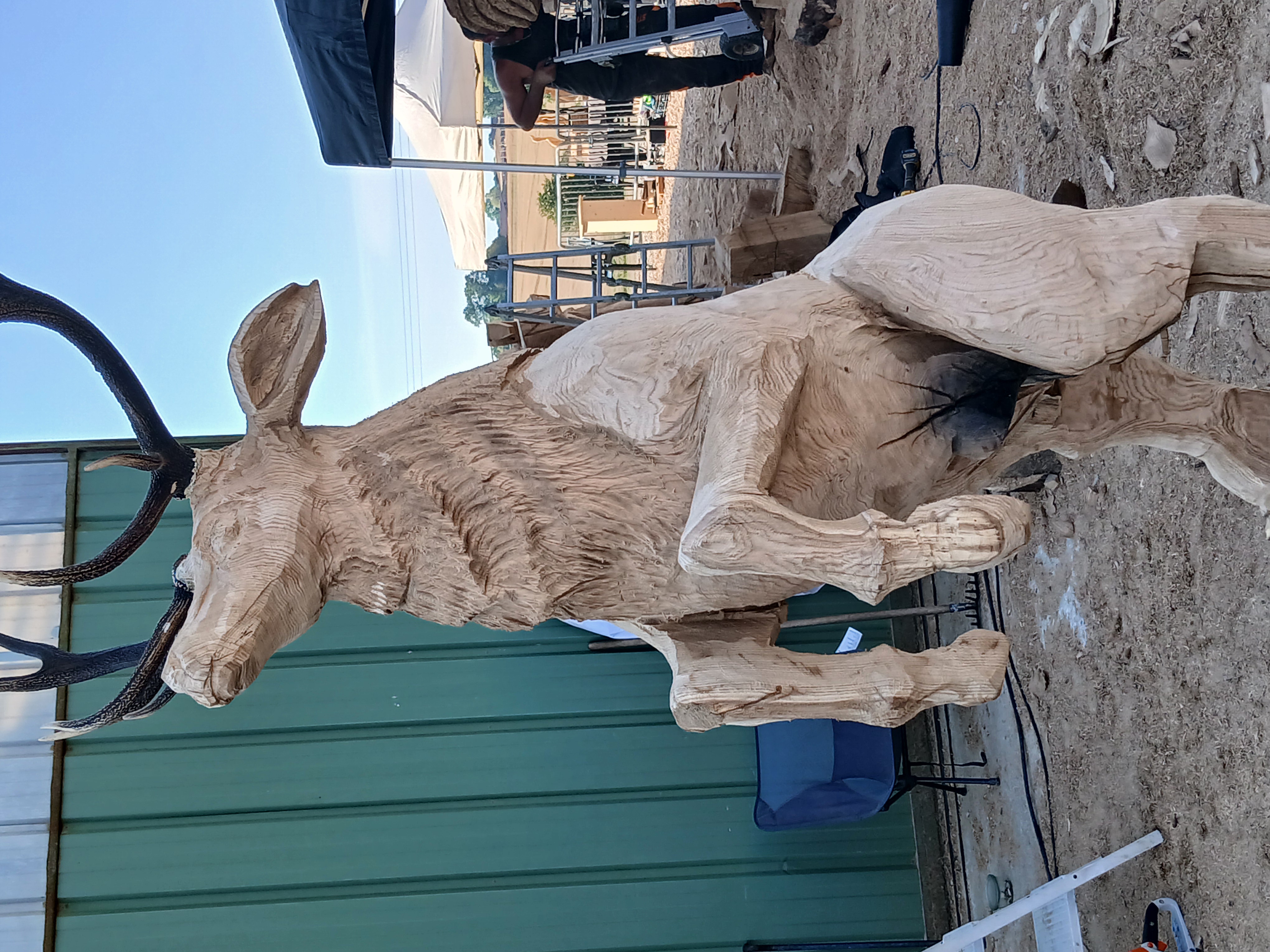 Sculpture monumentale finie d'un cerf cabré en bois, réalisée par Sébastien Steffen, vue de profil.