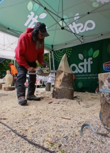 Démarrage d'une sculpture sur bois à partir d'un tronc brut lors du rassemblement de Lullin.