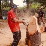 Sculpteur professionnel utilisant une tronçonneuse sur un gros tronc de bois