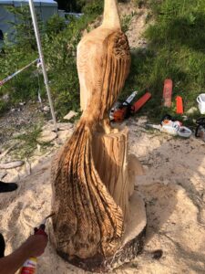 Vue arrière et de profil d'une sculpture d'oiseau par Sébastien Steffen, illustrant la structure et la découpe du bois.